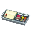 ˾漭 DS-100